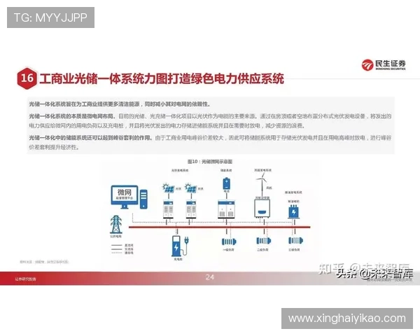北京篮球队灵活性分析：战术变换与球员适应能力的深度探讨